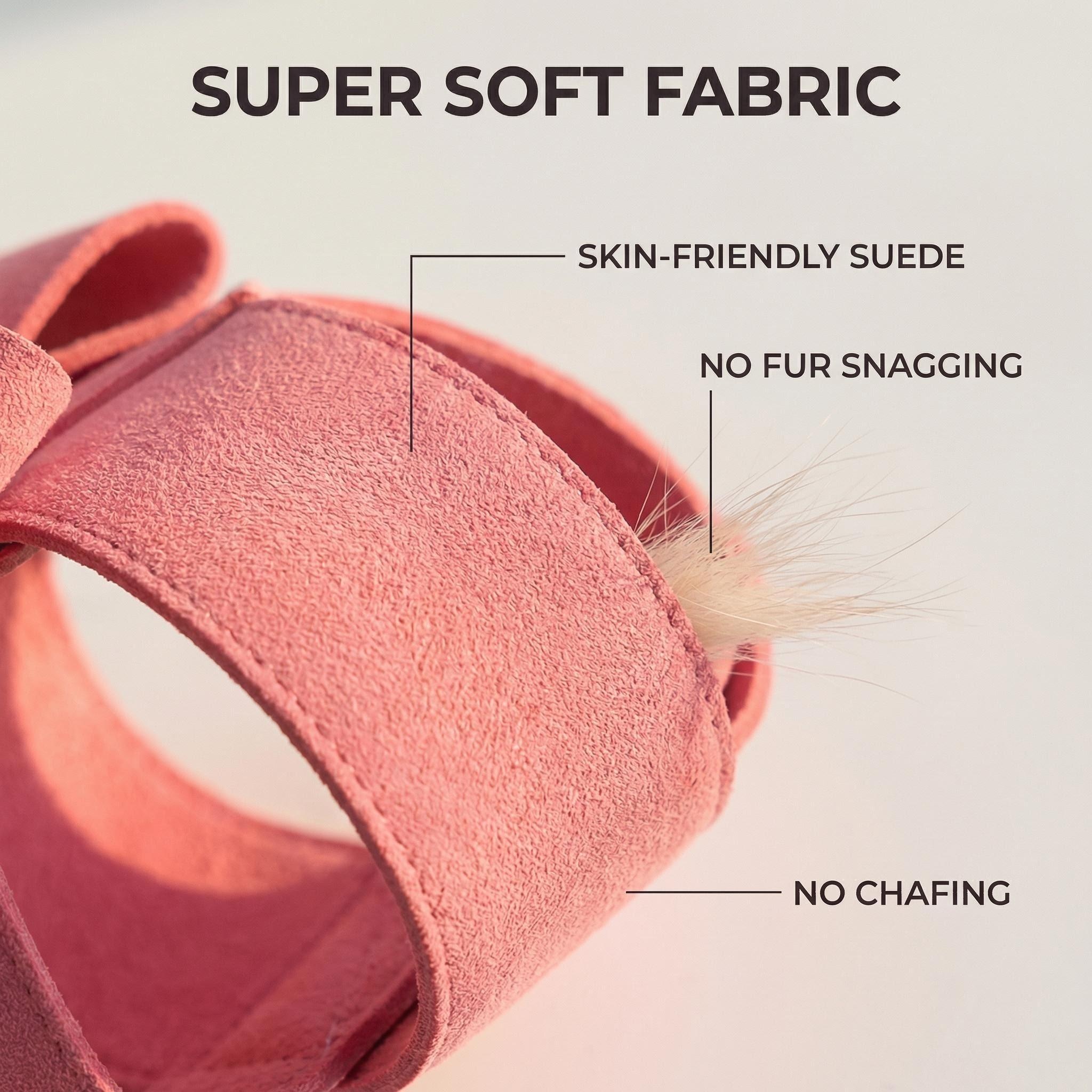 Cute Dog Harness Leash Set Sma - đánh giá và giá D Ring Strap