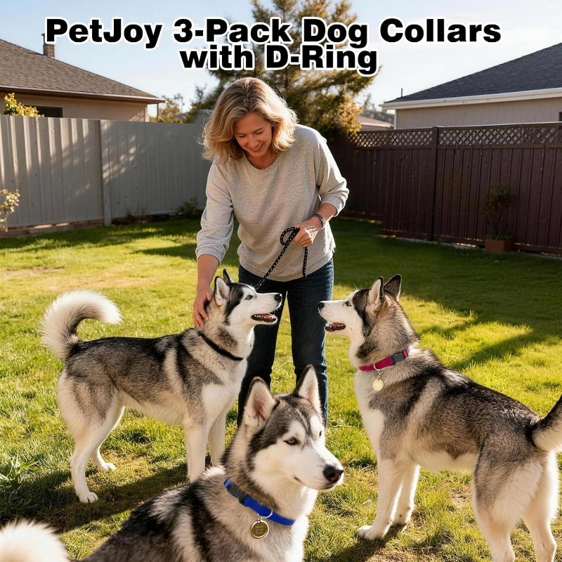 Dog Shock Collar Replacement S - đánh giá và giá D Ring Strap